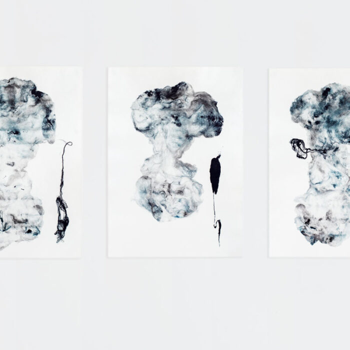 Absence #1,#3,#2, 2018, raw wool and chalcographic ink, 70x50 cm  Absence #1,#3,#2, 2018, raw wool and chalcographic ink, 70x50 cm