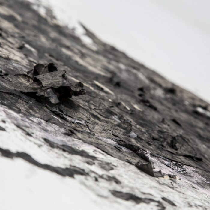 Untitled #3, 2014 (detail). Fondazione Mudima, Milano Untitled #3, 2014 (detail). Fondazione Mudima, Milano