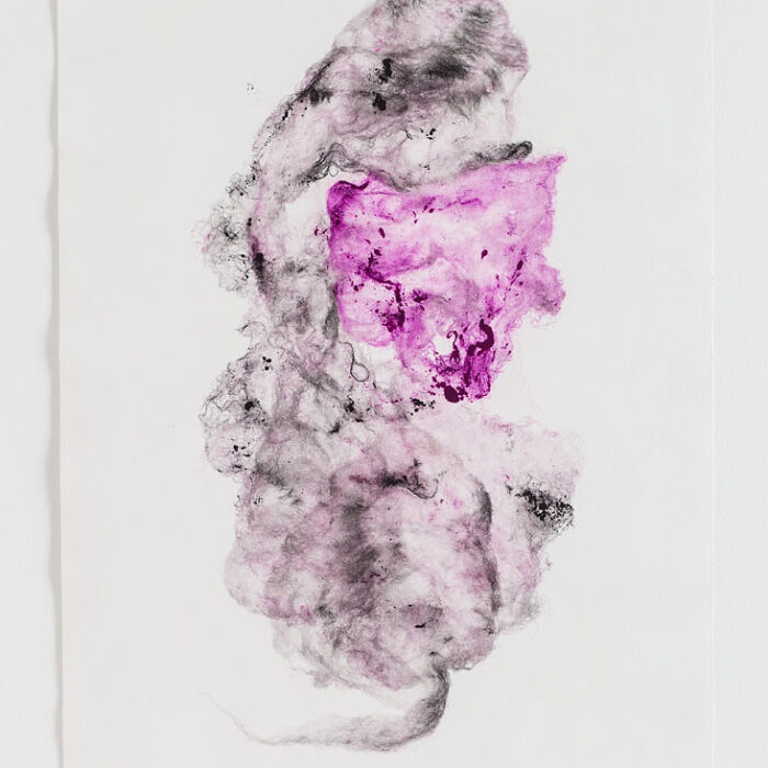 Hidden, 2018, raw wool and chalcographic ink, 70x50 cm Hidden, 2018, raw wool and chalcographic ink, 70x50 cm