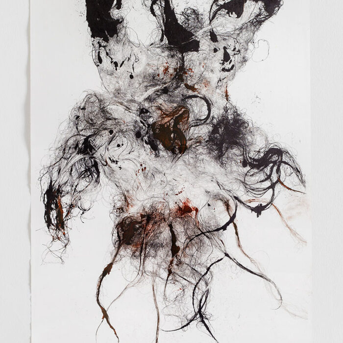 m/b #1 (enki), 2018, raw wales wool and chalcographic ink, 90x70 cm. L'Arca, Centro Arti Contemporanee, Teramo 