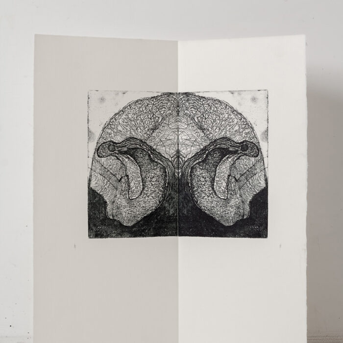 Untitled, 2015, etching, aquatint, 40x35,5 cm
